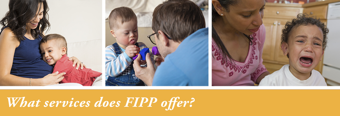 Clickable image to webpage: What services does FIPP offer?